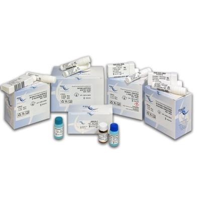 Kit Catéchines