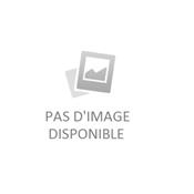 Aiguille